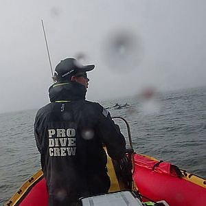 Pod snorkel (video)