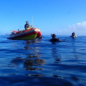 divers cooling off