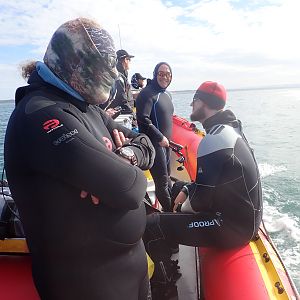 dive boat fashion