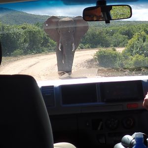 Guess who has right of way