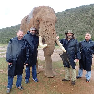 Our African friend