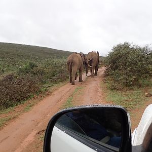 morning commute