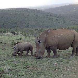 Big mama and her mini me