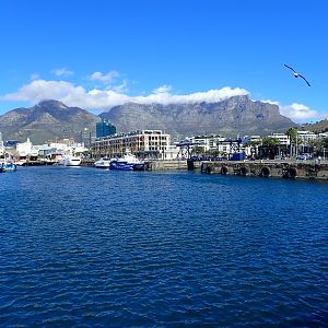 Table mountain