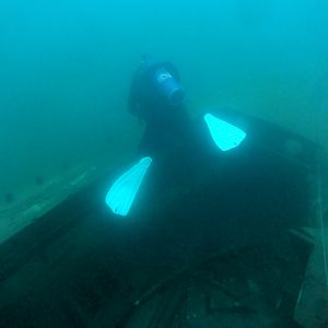 Reefhound leads the way