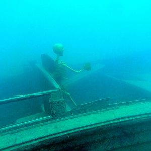 I don't trust this guy's driving abilities