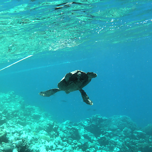 I became good friends with one of his buddies