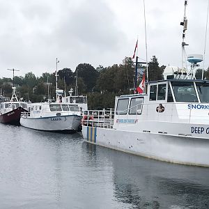 The dive boats