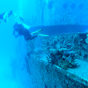 Exterior of the C-53