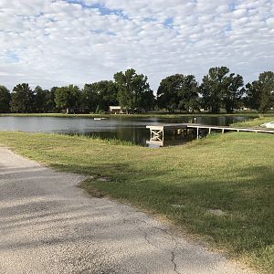 Pond would be good for you