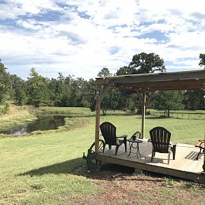 Lake view