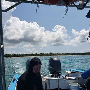 Seaagg05 = Swamp Thing