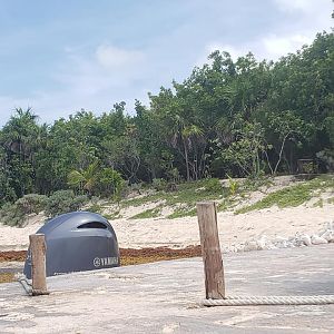 I'd call this a pretty decent labor day weekend