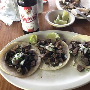 Assorted tacos at Los Tacotales (Los Otates)