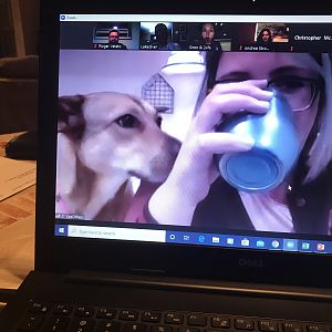 SeaOfRays has an awesome drinking buddy