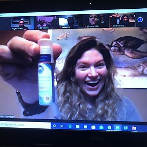 Stream2Sea, the good stuff