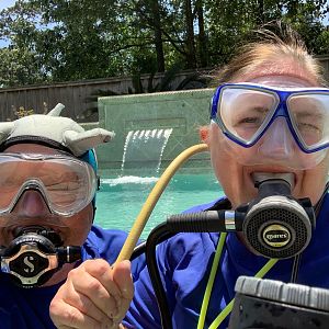 K-Jenn’s April “Dive”