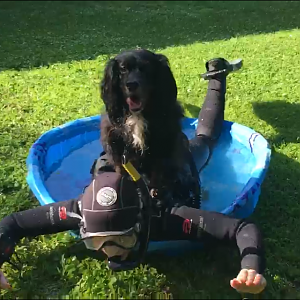 4BB52C97-B4FB-4A71-B5BA-A547D19732B3