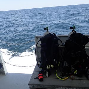 Flat seas for the return