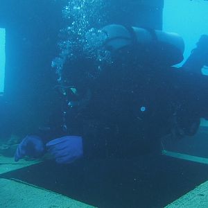 24% Swims Through The Golden Mermaid - JAN Blue Lagoon