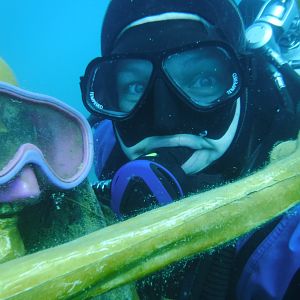 Siren's New Dive Buddy - FEB Blue Lagoon