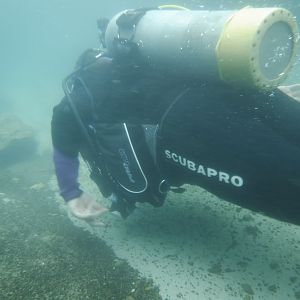 LakeDiver Makes Headway - MAR Comal