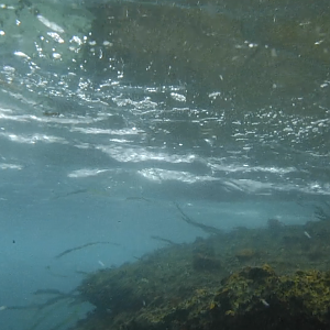 Underwater Waterslide 01 - MAR Comal