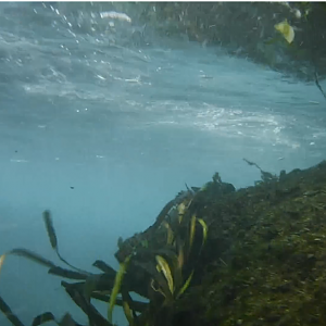 Underwater Waterslide 03 - MAR Comal