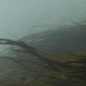 Underwater Waterslide 04 - MAR Comal