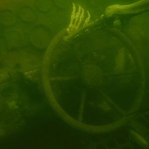 Skeleton Driving - April Lake Longhorn