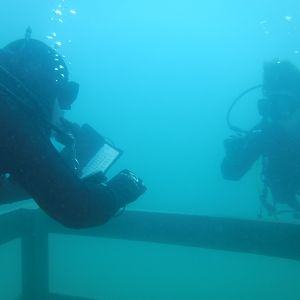 24% And Wanderwoman Discuss Comapss Headings - May Blue Lagoon