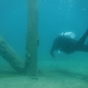 24% With The Pilings 03 - June Elk Rapids, MI
