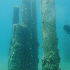 Old Pier Pilings 03 - June Elk Rapids, M