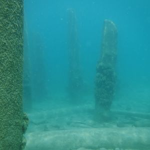 Old Pier Pilings 06 - June Elk Rapids, M