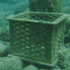 Neato Stainless Steel Basket 02 - June Elk Rapids, MI