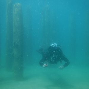 24% With The Pilings 05 - June Elk Rapids, MI