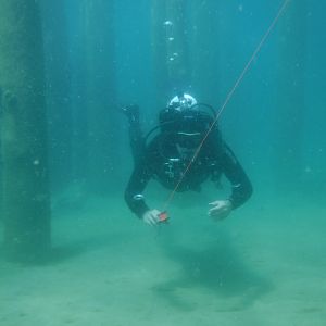 24% With The Pilings 06 - June Elk Rapids, MI