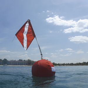 How Far Offshore We Were - June Elk Rapids, MI