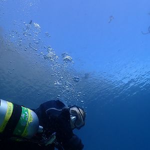 Birddog Spring Lake Jan 20