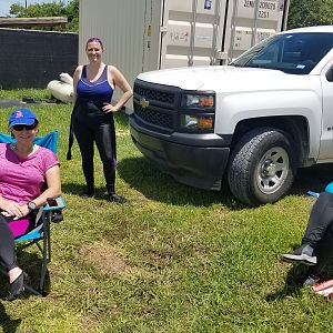 Women's Dive Day 2020