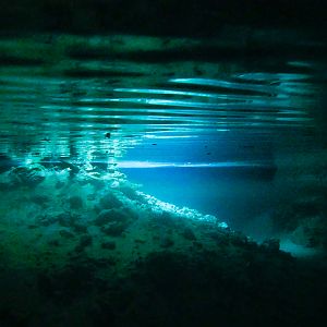 Cenote: below the surface