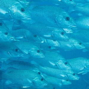 Are you going my way?