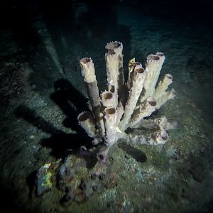 -91E0-4DFD-AE37-4C053394DC81