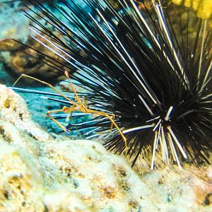 FC0E26C4-7BE7-4006-9109-75D6DF106238