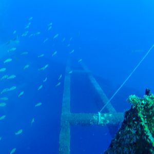 89D02F9C-2DC2-4A1F-9E6C-4D41F02EE6CC