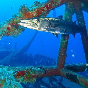 BF6A0E60-F16C-42B1-AD69-A3CEC9CC7050