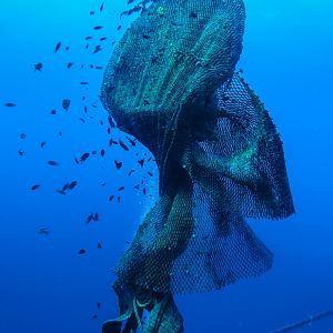 0E1D2B99-3889-48C0-B754-51A03DEB0F7D