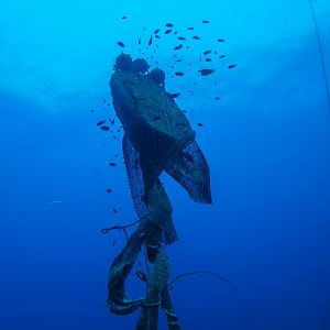 3ECF448C-409C-40F0-8CD5-B606C15AD715