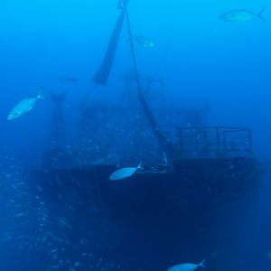 D78E1ABC-D8D1-480D-B300-13BD0AA5D52D