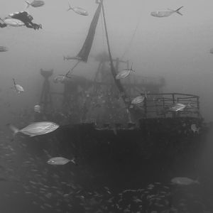 D979EC14-1E5A-4B58-AEDD-89DACC1610B4